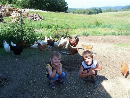 Bondegård - 2 personer -  - Kirchstraße - 93167 - Falkenstein