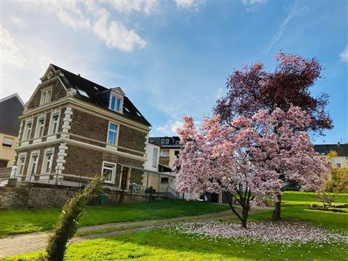 Holiday apartment - 3 persons -  - Sponheimerstraße - 56841 - Traben-Trarbach