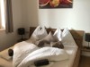 Bild 42