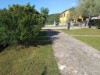 Billede 6