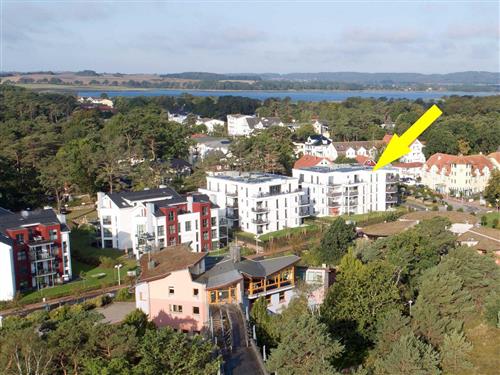 Feriesenter - 2 personer -  - Strandstrasse 40a " Villa Strandläufer " - 18586 - Baabe (Ostseebad)