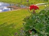 Bild 3 - Inde