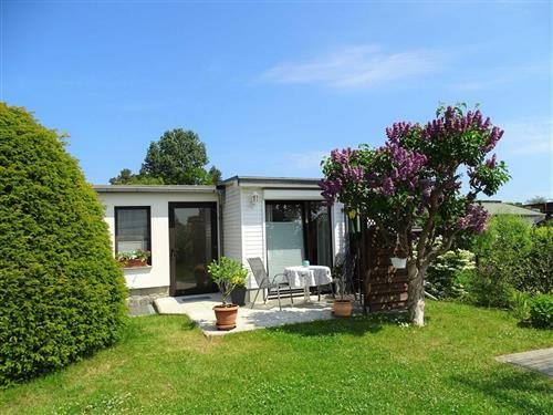 Ferieleilighet - 2 personer -  - Ackerweg - 17459 - Ückeritz