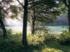 Image 39