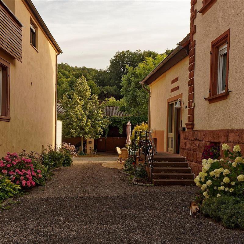 Ferielejlighed - 4 personer -  - Hauptstr. - 76891 - Bobenthal