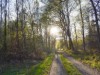 Billede 20
