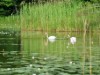 Bild 22