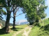 Billede 29
