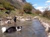 Bilde 2