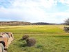 Bild 13 - Ude