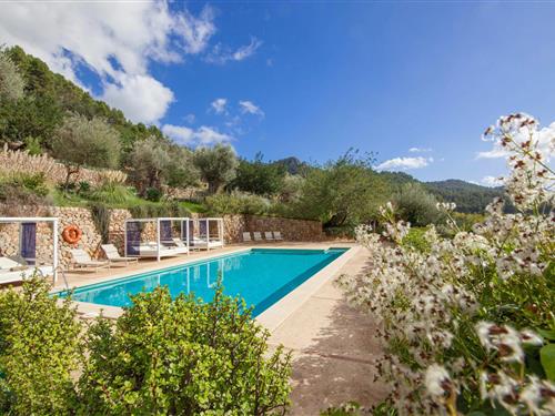 Holiday apartment - 2 persons -  - Diseminado Diseminados - Alfabia Nou Dos, Bunyola - 07349 - Bunyola