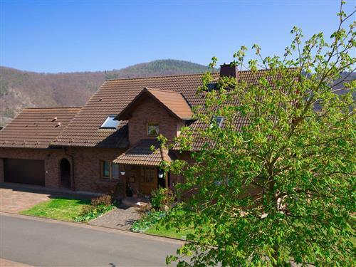 Ferielejlighed - 2 personer -  - Bringhausen - 34549