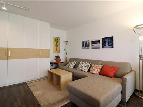 Ferielejlighed - 4 personer -  - Unterer Mühlenweg - 79859 - Schluchsee