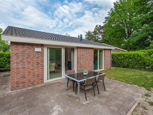 Villa - 4 persons -  - 5944NK - Arcen