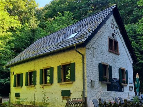 Ferieleilighet - 4 personer -  - Hainstraße - 67435 - Neustadt An Der Weinstraß