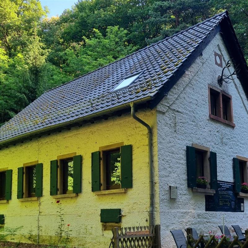 Ferielejlighed - 4 personer -  - Hainstraße - 67435 - Neustadt An Der Weinstraß