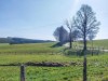 Afbeelding 7
