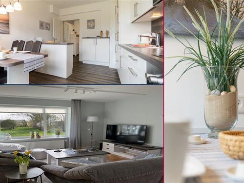 Ferienwohnung - 6 Personen -  - Taarepswoi - 25938 - Borgsum