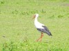 Bild 18