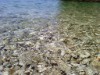 Bild 39 - Aussen