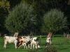 Bild 22