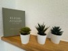 Bild 19