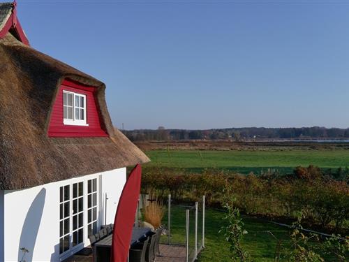 Feriehus - 6 personer -  - Am Achterwasser - 17454 - Zinnowitz