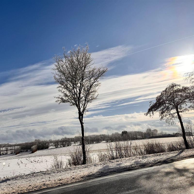 Sommerhus - 8 personer -  - Ginsterley - 52152 - Simmerath