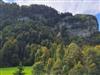 Bilde 5