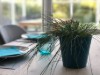 Billede 34