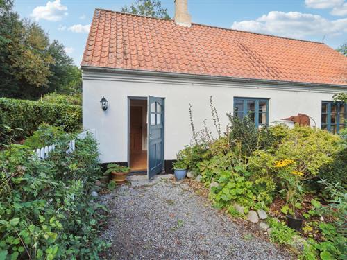 Ferielejlighed - 6 personer -  - Bølshavn 9 lejl. - Bølshavn - 3740 - Svaneke