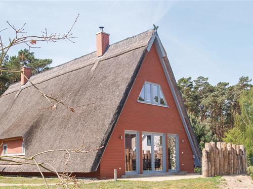 Ferienhaus - 4 Personen -  - Dresdner Weg - Loddin/Usedom - 17459 - Loddin