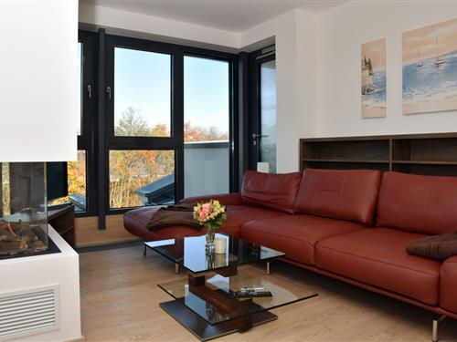 Ferieleilighet - 3 personer -  - Seestraße - 18374 - Zingst (Ostseeheilbad)