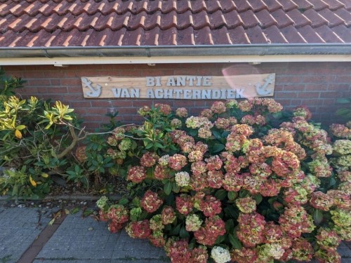 Feriehus - 4 personer -  - 26553 - Neßmersiel