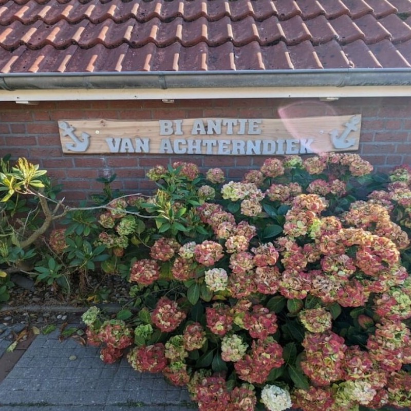 Sommerhus - 4 personer -  - 26553 - Neßmersiel