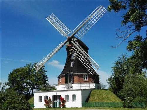 Feriehus - 8 personer -  - Norderfriedrichskoog - 25870