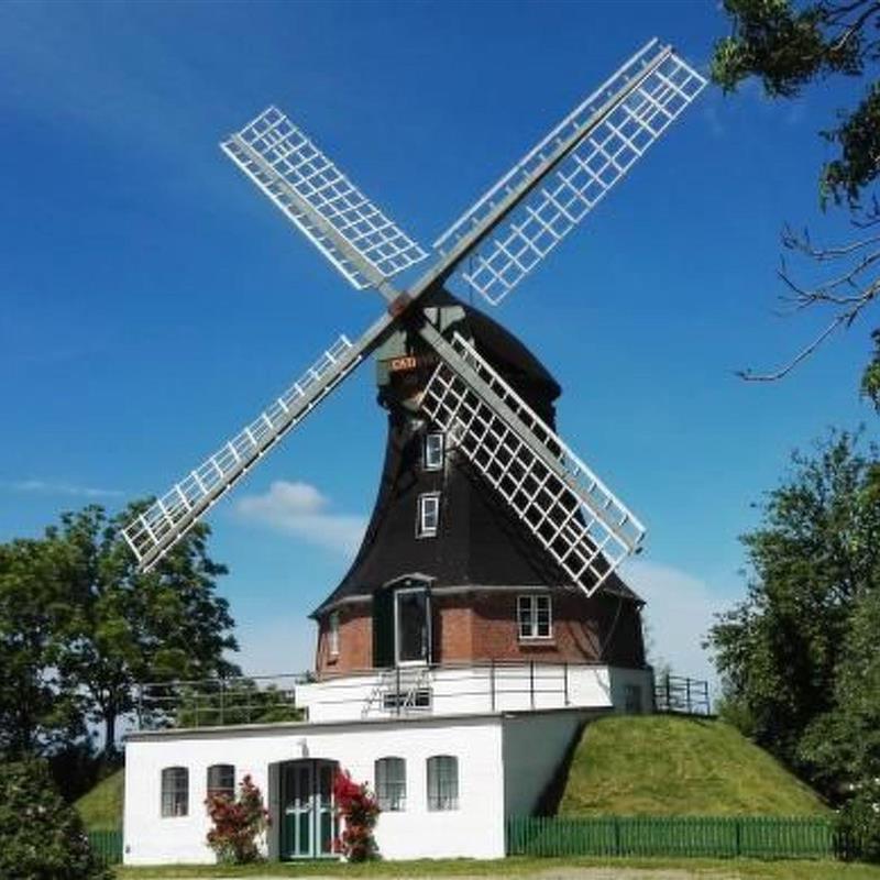 Sommerhus - 8 personer -  - Norderfriedrichskoog - 25870