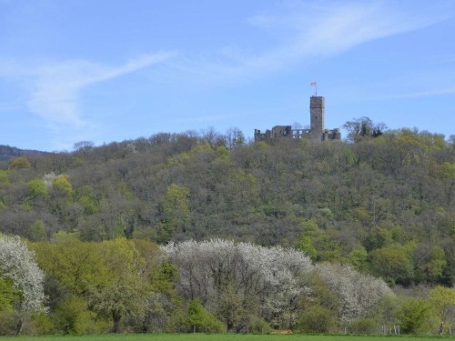 Vakantiehuis - 2 personen -  - 61462 - Königstein Im Taunus