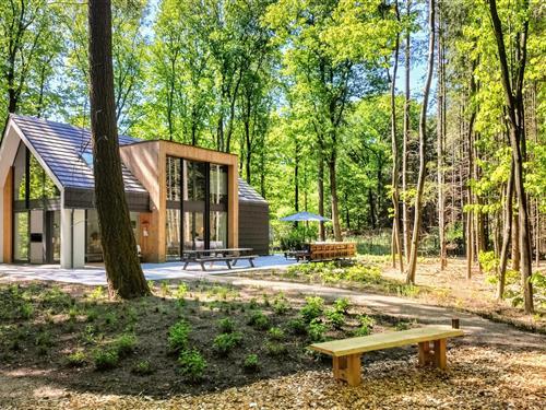 Sommerhus - 10 personer -  - Horalaan - 6721 KP - Bennekom