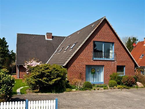 Semesterhus/Semesterlägenhet - 4 personer -  - Kiebitzreihe - 25826 - St. Peter-Ording