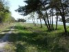 Billede 19