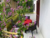 Billede 15