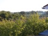 Bild 24