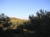 Billede 27