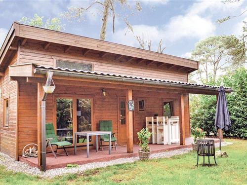 Feriehus - 4 personer -  - Hanendorperweg - 8166 JJ - Emst