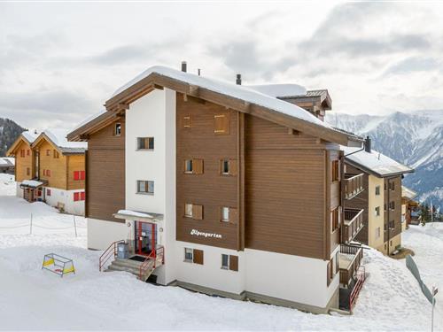 Holiday apartment - 4 persons -  - Schweibenstr. - 3992 - Bettmeralp