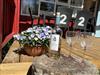 Billede 16 - Terrasse