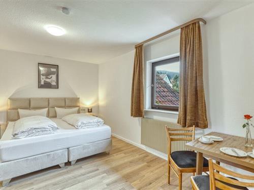 Ferielejlighed - 2 personer -  - Geigensteinstraße - 97653 - Bischofsheim