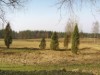 Bild 16