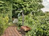 Image 39 - Outside
